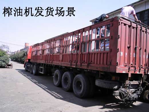 雙象榨油機的效果怎么樣？